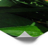 オレンジデイリリーのポスター ポスター (角)