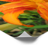 オレンジデイリリースモールポートフォリオプリント ポスター (角)