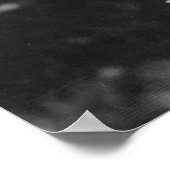 オレンジデイリリー写真 ポスター (角)