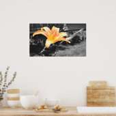 オレンジデイリリー写真 ポスター (キッチン)