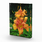 オレンジデイリリー開花 フォトブロック (右)