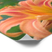 オレンジデイリリー ポスター (角)