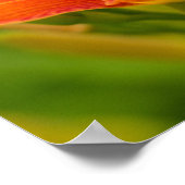 オレンジデイリーズのポスター紙（マット） ポスター (角)