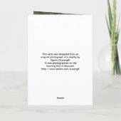 オレンジデイリーフォトハッピーバースデー カード (裏面)