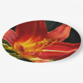 オレンジデイリー開花フローラ ペーパープレート (アングル)