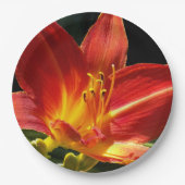 オレンジデイリー開花フローラ ペーパープレート (正面)