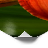 オレンジデイリー開花フローラ ポスター (コーナー)