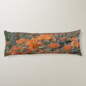 オレンジデザートグロベムロー花の開花 ボディピロー (裏面)