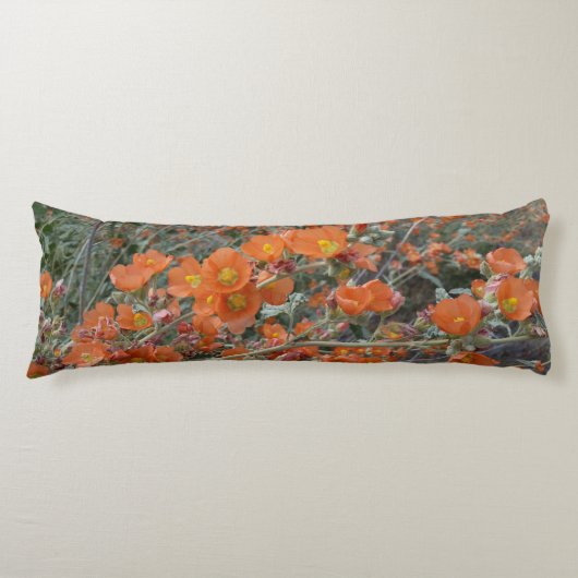オレンジデザートグロベムロー花の開花 ボディピロー (正面)