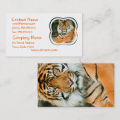 オレンジトラの名刺 名刺 (正面/裏面)