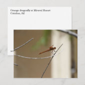 オレンジトンフライ葉書 ポストカード (正面/裏面)