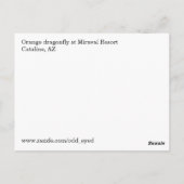 オレンジトンフライ葉書 ポストカード (裏面)