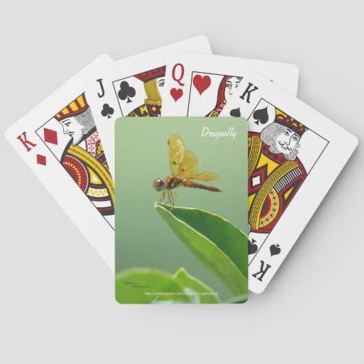 オレンジドラゴンフライ自転車®トランプ トランプ (裏面)