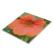 オレンジナスタジウムフラワータイル タイル (側面)