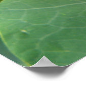 オレンジナスタジウムフラワープリント ポスター (角)