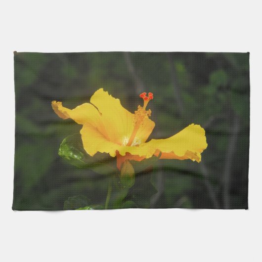 オレンジハイビスカスの花 キッチンタオル (横)