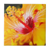 オレンジハイビスカスサイドビュー タイル (正面)