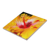 オレンジハイビスカスサイドビュー タイル (側面)