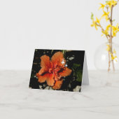 オレンジハイビスカスシャドーフェアリー カード (黄色い花)