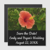 オレンジハイビスカスフラワートロピカルフローラ (正面/裏面)