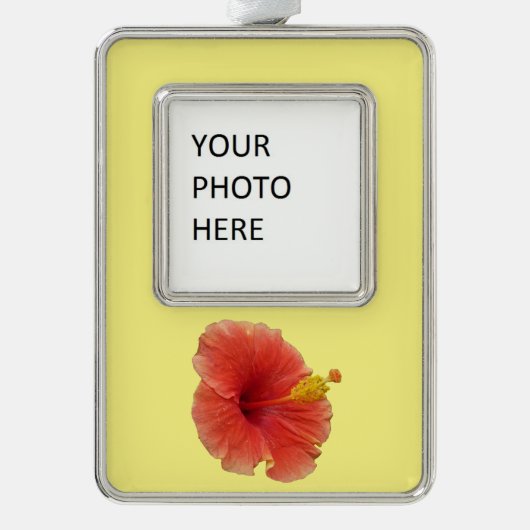 オレンジハイビスカスフラワートロピカルフローラ シルバープレートフレームオーナメント (正面)