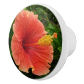 オレンジハイビスカスフラワートロピカルフローラ セラミックノブ (右)