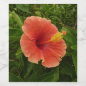 オレンジハイビスカスフラワートロピカルフローラ ワインラベル (シングルラベル)