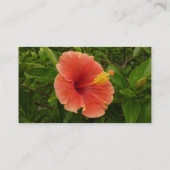 オレンジハイビスカスフラワートロピカルフローラ 名刺 (裏面)
