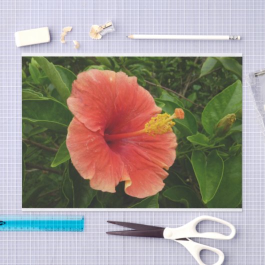 オレンジハイビスカスフラワートロピカルフローラ 薄葉紙 (クラフト)