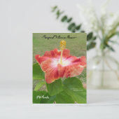 オレンジハイビスカスフラワーフロリダスパイゲランドハガキ ポストカード (スタンド正面)