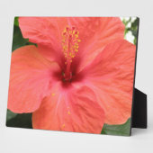 オレンジハイビスカスフラワーマクロプラーク フォトプラーク (側面)