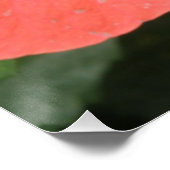 オレンジハイビスカスフラワーマクロポスター ポスター (コーナー)