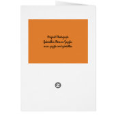 オレンジハイビスカスフラワー開花 (裏面)