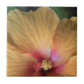 オレンジハイビスカスラッフル タイル (正面)