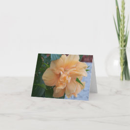 オレンジハイビスカス空白の花の内側の花形 カード