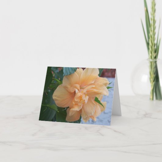 オレンジハイビスカス空白の花の内側の花形 カード (正面)