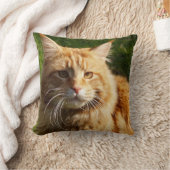 オレンジハウスキャット クッション (ブランケット)
