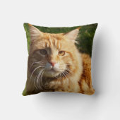 オレンジハウスキャット クッション (裏面)