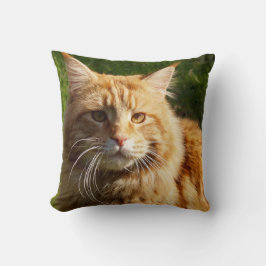 オレンジハウスキャット クッション