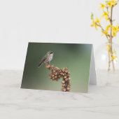 オレンジハチドリ カード (黄色い花)