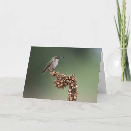 オレンジハチドリ カード (正面)