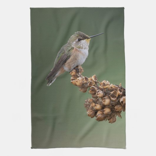 オレンジハチドリ キッチンタオル (縦)