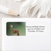 オレンジハチドリ ラベル (インサイチュ)