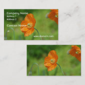 オレンジハナビシソウ 名刺 (正面/裏面)