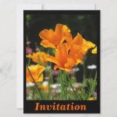 オレンジハナビシソウ 招待状 (正面)