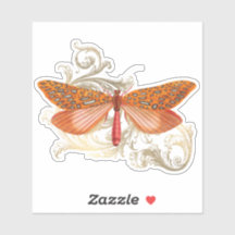 オレンジハーベストバタフライ