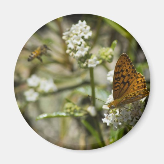 オレンジバタフライとビー マグネット (正面)