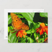 オレンジバタフライアップクローズ ポストカード (正面/裏面)