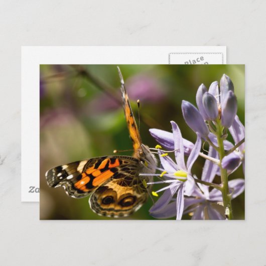 オレンジバタフライオンワイルドヒアシンスのアパレル&ギフト ポストカード (正面/裏面)
