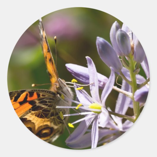 オレンジバタフライオンワイルドヒアシンスのアパレル&ギフト ラウンドシール (正面)